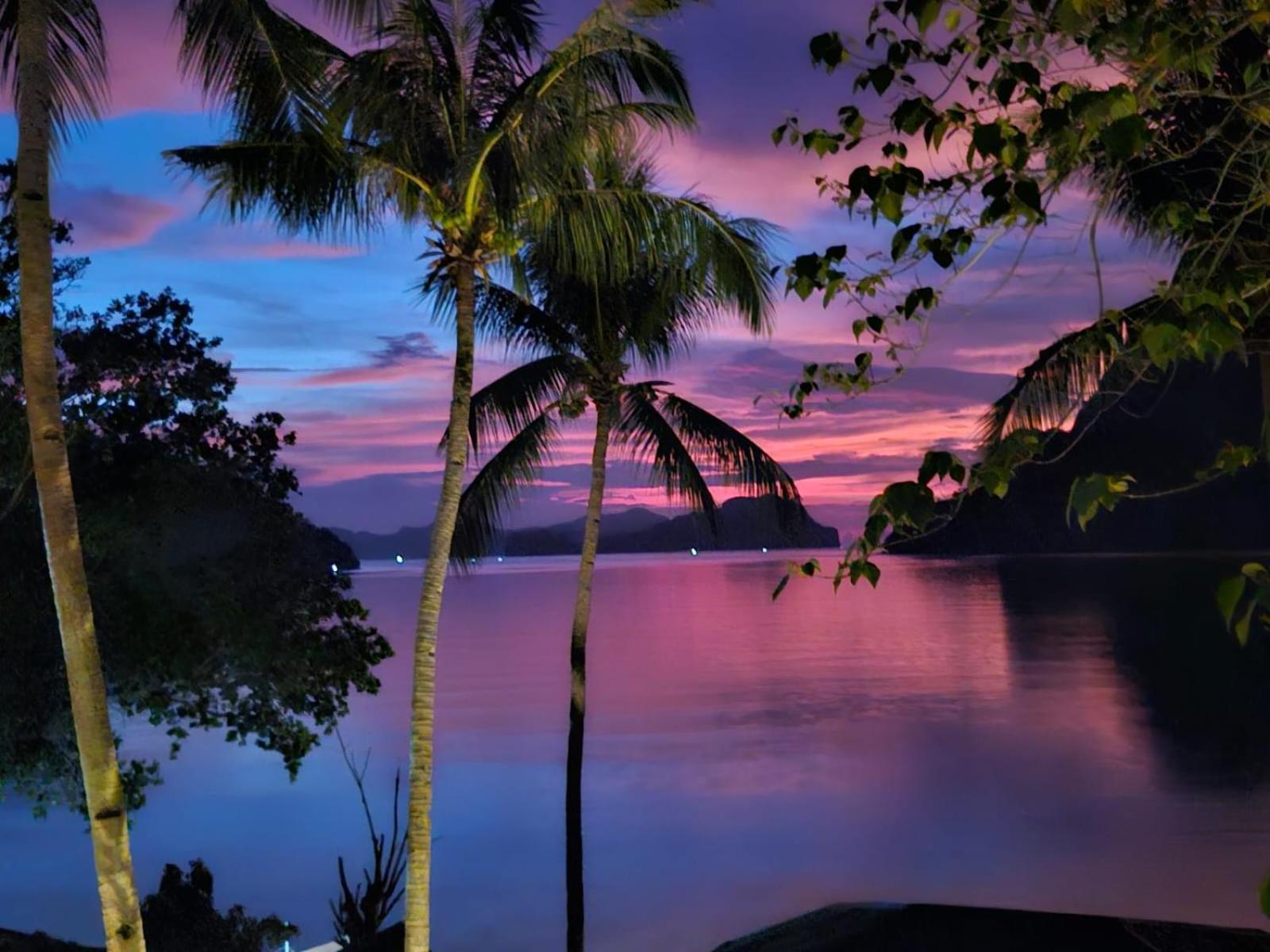 Golden Monkey Beach Hotel El Nido Exterior foto